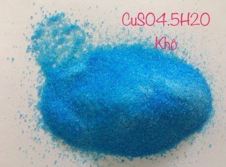 phen-xanh1-e1526911752919.jpg