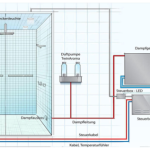 tolosteamtec1-e1787025187757.png